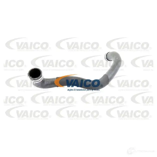 Шланг радиатора VAICO V30-1915 QT 59U5 1565532 4046001610271 изображение 0