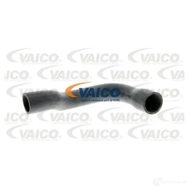 Шланг радиатора VAICO 4046001572357 C19EMP K V30-0147 1564282