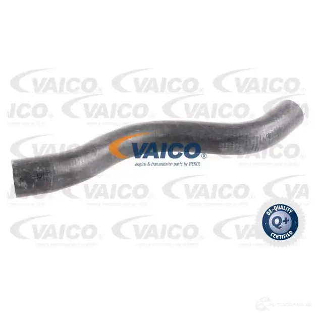 Патрубок радиатора, шланг VAICO Y8QQZ1 W 1217472487 v950020 4046001260643