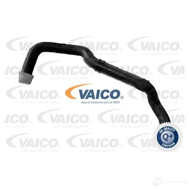 Патрубок радиатора, шланг VAICO 1424489093 v420791 4 X7JBD3 4046001961694