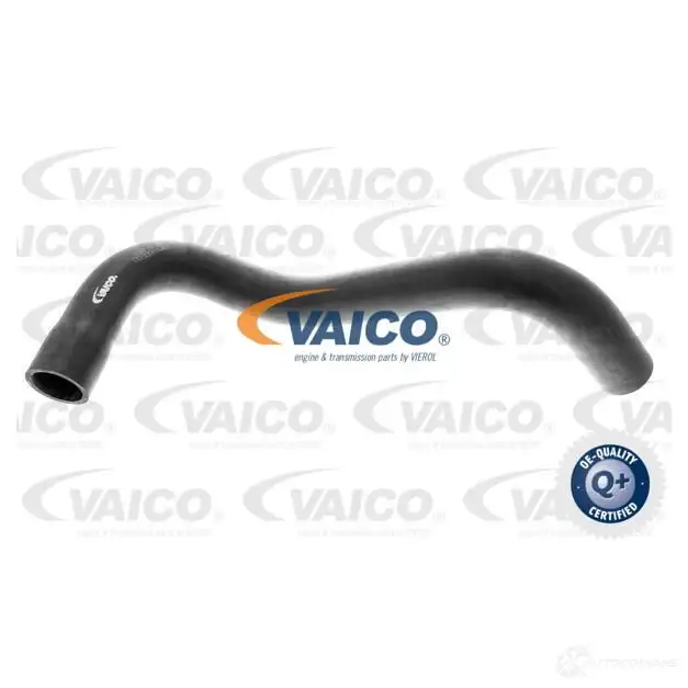 Патрубок радиатора, шланг VAICO v300250 856G 2C0 4046001174926 1217338129