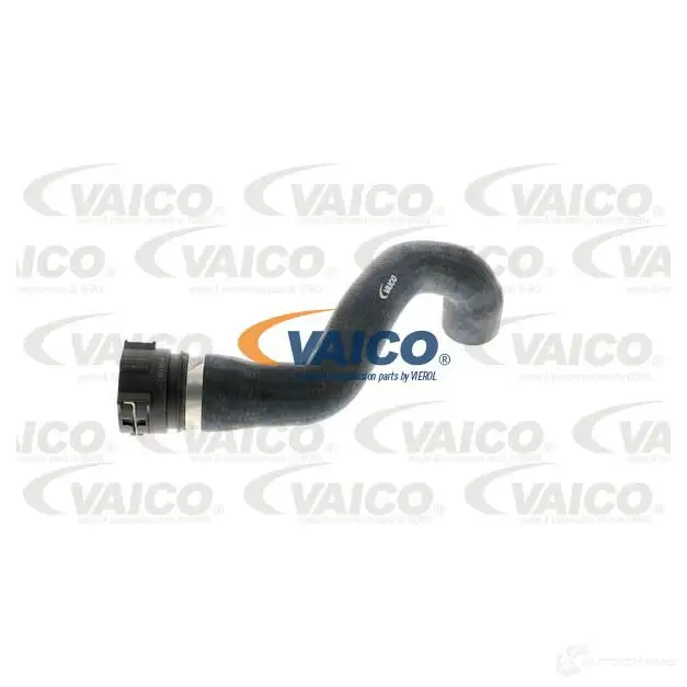 Шланг радиатора VAICO Z9 8CXCN V20-1774 4046001607813 1558383 изображение 0