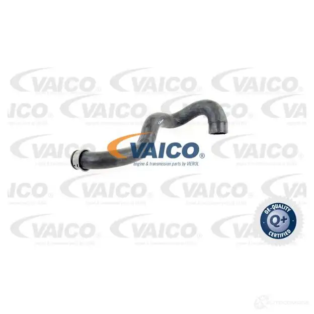 Шланг радиатора VAICO 1565536 O LD5JP V30-1919 4046001610318
