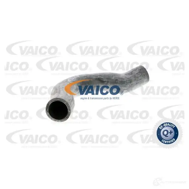 Патрубок радиатора, шланг VAICO v300245 4046001142536 1564322 Y09 PVO изображение 0