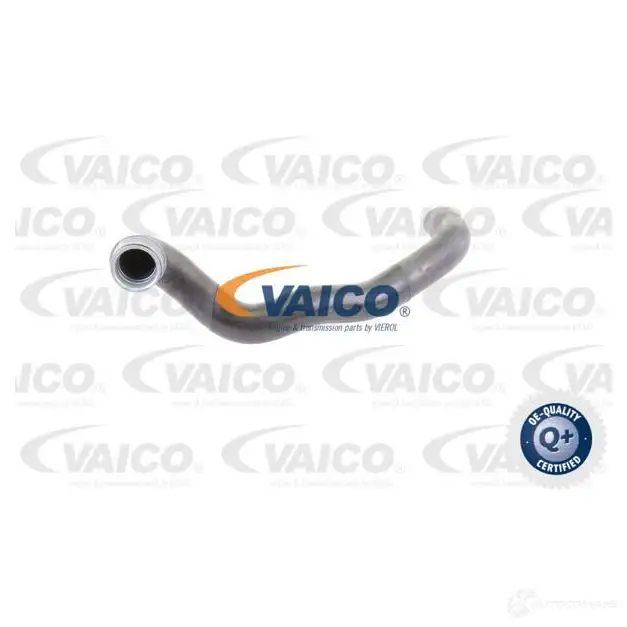Шланг радиатора VAICO 1565222 V30-1651 84 XKV 4046001557842