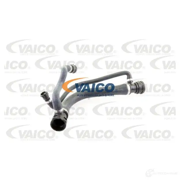 Шланг радиатора VAICO 1557518 V20-0877 C VQYH7 4046001431937