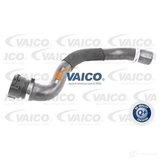Шланг радиатора VAICO BIWKU6 V 1570367 4046001818257 V40-1993