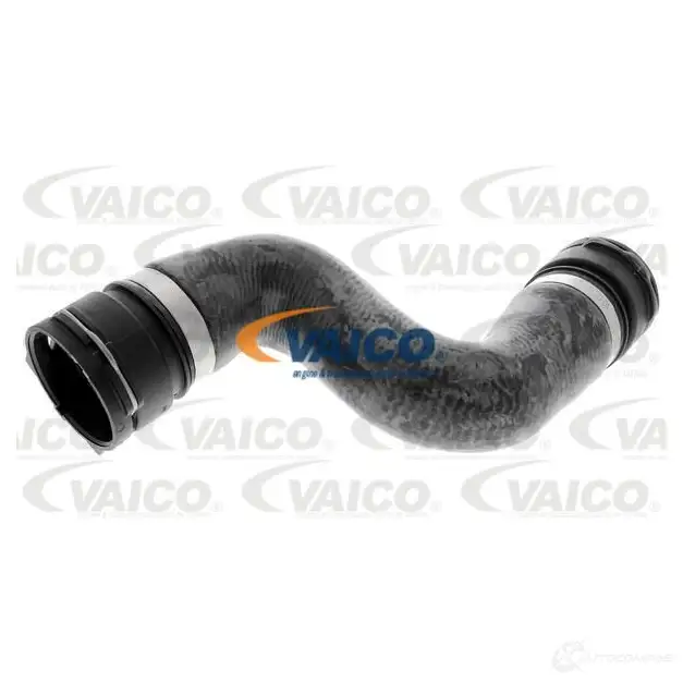 Шланг радиатора VAICO V20-1761 4046001606410 1558370 5VITW SL изображение 0