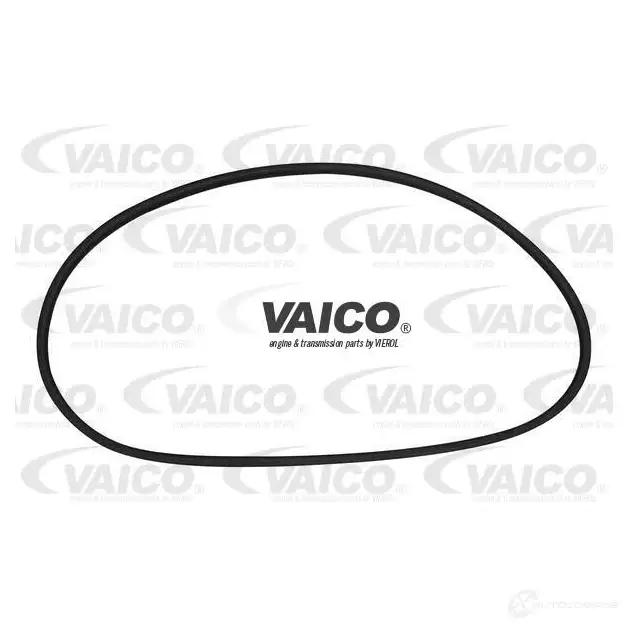 Уплотнитель заднего стекла VAICO 4046001492808 PXT KN 1551659 V10-0888 изображение 0