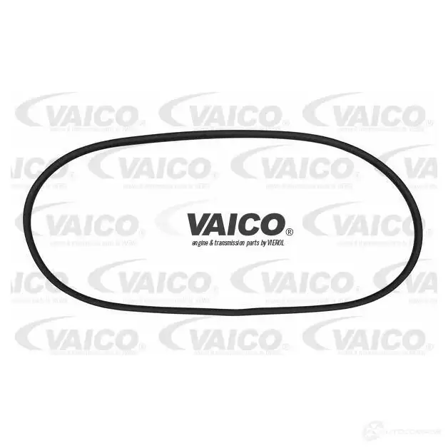 Уплотнитель стекла VAICO 4046001492624 1551662 NX QP55 V10-0891 изображение 0