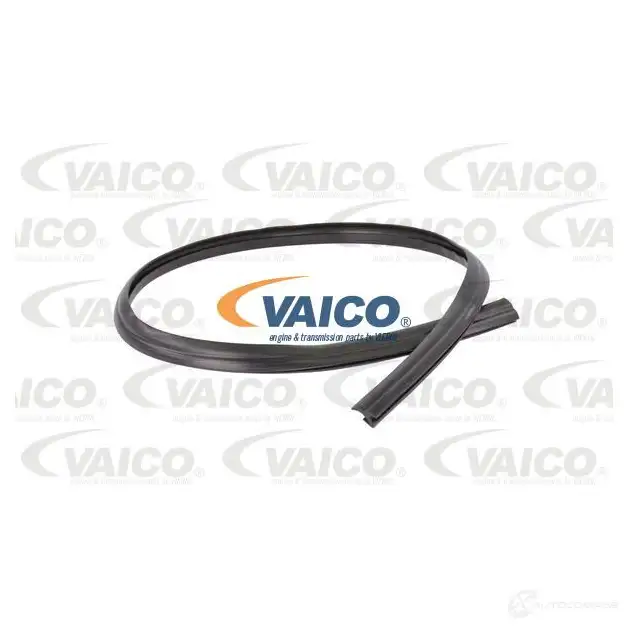 Уплотнитель стекла VAICO 1563740 V25-9701 4046001528866 O9C 9SM изображение 0