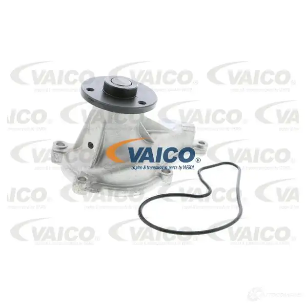 Водяной насос, помпа VAICO 1564047 v2650012 4046001543616 9L 75N изображение 0