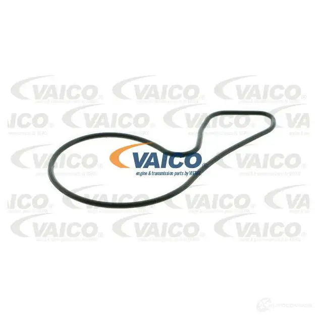 Водяной насос, помпа VAICO 1564047 v2650012 4046001543616 9L 75N изображение 1