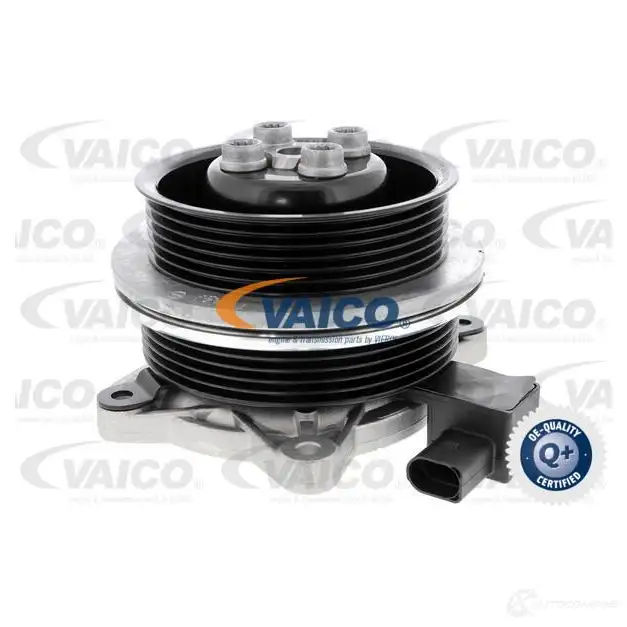 Водяной насос, помпа VAICO OF5 9QK5 1555250 4046001417528 V10-50065 - Изображение 1