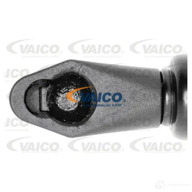 Водяной насос, помпа VAICO v5250008 1573838 4046001710681 9Z ECWN
