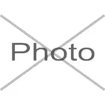 Рычаг CTE QJGEBW DE5S N 1274953303 CS-1960L изображение 0