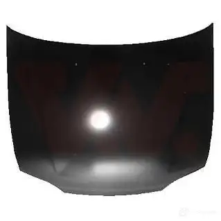 Капот VAN WEZEL LYEZT 2525660 940 700 467103