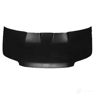 Капот VAN WEZEL 22 2900 1896660 1423215607 0UZ83QC