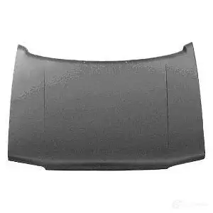 Капот VAN WEZEL 4025660 6 40700 N4BXG 474929