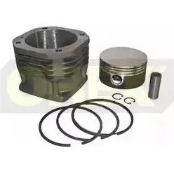Гильза цилиндра OREX N80D6X 113028 E8 RSI6 1275950223