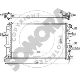 Радиатор охлаждения двигателя SOMORA RNLQJW Z216 B 1418466935 211740K изображение 0
