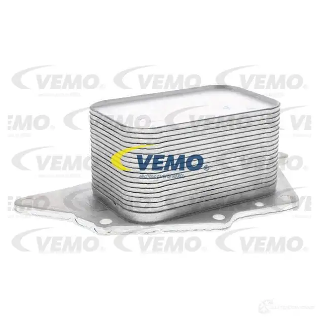 Масляный радиатор двигателя VEMO 1218273190 4046001855238 GPL6T 3E V20-60-0048 изображение 0