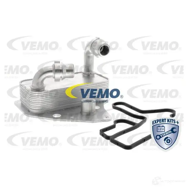 Масляный радиатор двигателя VEMO 1425085473 4062375010271 I45X M V24-60-0051 изображение 0