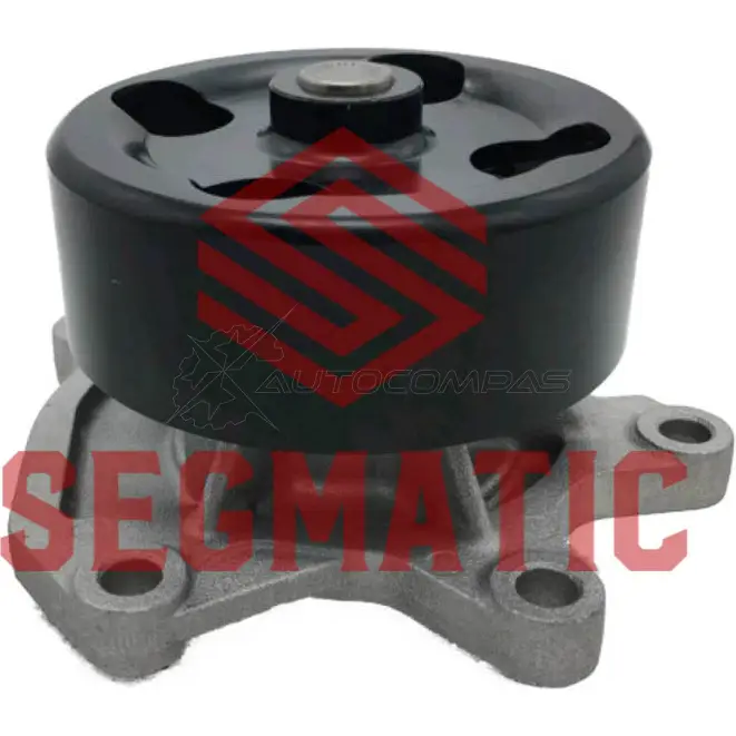 Водяной насос помпа nissan juke (f15) 1.6 dig-t SEGMATIC SGWP6047 1441284888 WU 0O5Q2