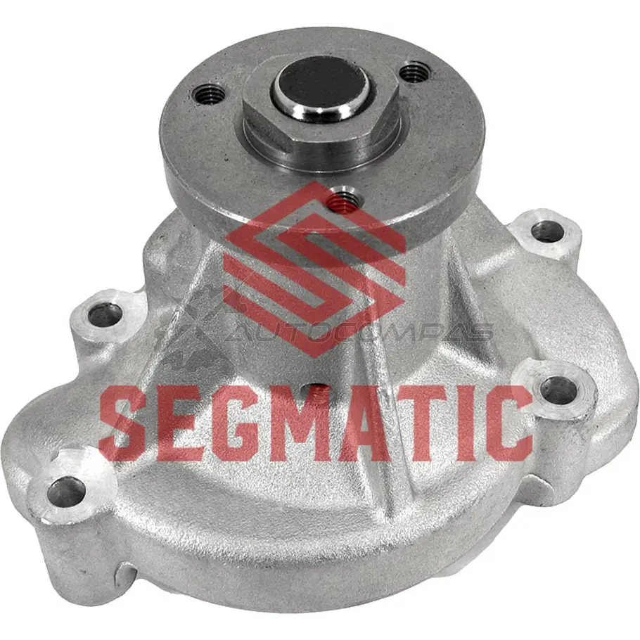 Водяной насос помпа ford s-type (ccx) 4.0 v8 SEGMATIC SGWP6095 1441280856 F2 XYBFL изображение 0