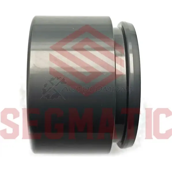 Поршень суппорта volkswagen touareg land rover range rover 03-02->08-12 subaru SEGMATIC 1441282219 Z7U ET01 SG500071