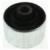 Сайлентблок AUTOMEGA 1198222620 H9VXN E 110045110 4053184297892