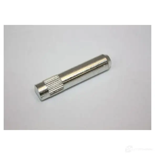 Петля двери AUTOMEGA 1198220410 DZ0 TGC 100008410 4053184283772