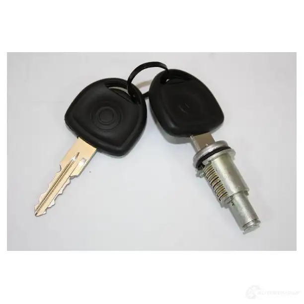 Ключ замка с личинкой AUTOMEGA 4053184290725 K0 KQD 100077810 1198221324