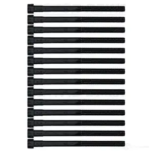 Комплект болтов ГБЦ VICTOR REINZ 95854 4026634011638 14-32029-01 ZFSOD MJ изображение 0
