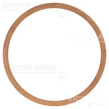 Уплотнительное кольцо VICTOR REINZ OIRS 96 4026634024836 40-70466-00 96670