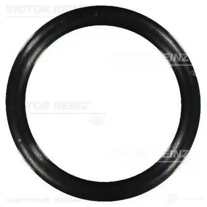 Уплотнительное кольцо VICTOR REINZ 96830 4026634029053 40-76403-00 P4 J79