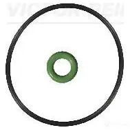 Комплект уплотнительных колец VICTOR REINZ 15-76601-01 TA SKVW 96600 4026635122142