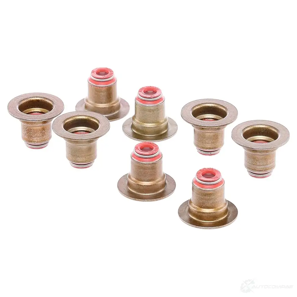 Маслосъемные колпачки VICTOR REINZ 95525 AY309 T 12-35548-01 4026634313602 - Изображение 1