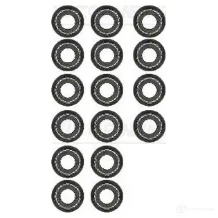 Маслосъемные колпачки VICTOR REINZ 12-11129-01 Z IDL2 4026635120537 95356