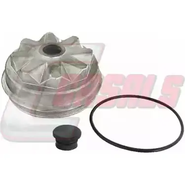 Колпак ступицы CASALS IZ XZI WDI9J 1420439863 9656
