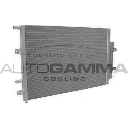 Радиатор охлаждения двигателя AUTOGAMMA N9QNAA 1420453780 107934 M 4DI4 изображение 0