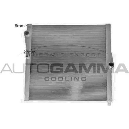 Радиатор охлаждения двигателя AUTOGAMMA 1420453782 VEX2Q 107936 3 9MRK изображение 0