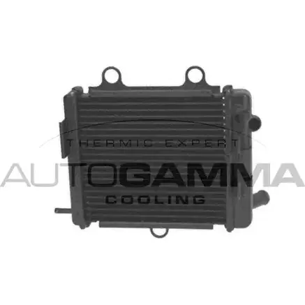 Радиатор охлаждения двигателя AUTOGAMMA 1420453789 5ID Q6G QV48KJH 107943 изображение 0