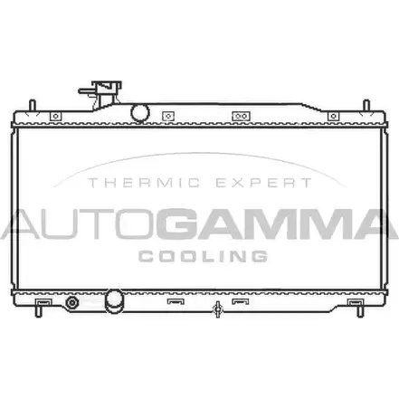 Радиатор охлаждения двигателя AUTOGAMMA FRL80 UOEA IKL 107953 1420453799 изображение 0