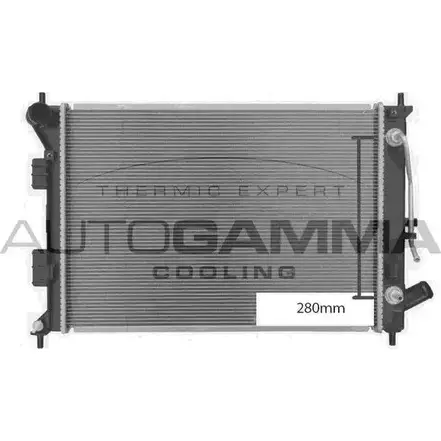 Радиатор охлаждения двигателя AUTOGAMMA 1420453800 B2Y3F 107954 5 RFI4 изображение 0