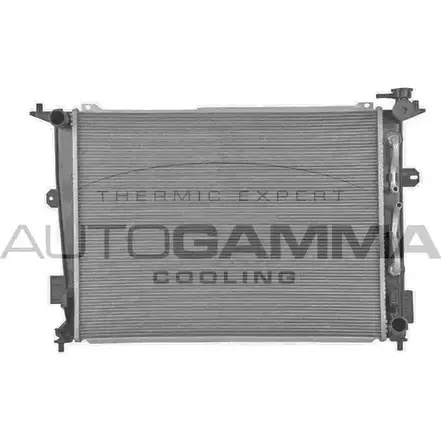 Радиатор охлаждения двигателя AUTOGAMMA 1IAGK 107955 1420453801 FOMEX H изображение 0
