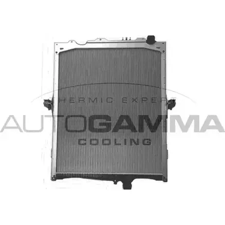 Радиатор охлаждения двигателя AUTOGAMMA 405508 1FVFOZP 1420453876 T7R707 X изображение 0