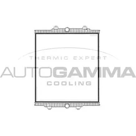 Радиатор охлаждения двигателя AUTOGAMMA 8I E6T 1420453880 B1RWG 405572 изображение 0