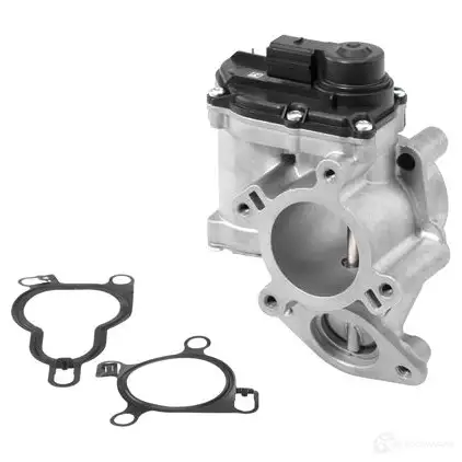 Клапан ЕГР WAHLER 2JGCHH2 710939r 1193697485 R2 810039054A1