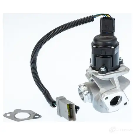 Клапан ЕГР WAHLER 1438724150 9EB7 QT 710936d1 изображение 0